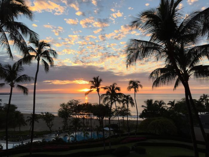 Звёздный Мёд