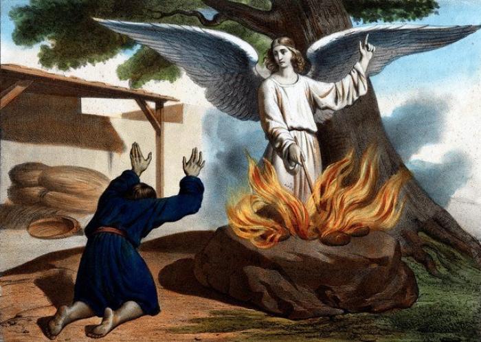 Книга Пророка Аввакума Глава 1